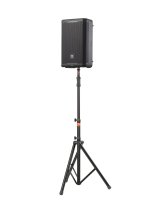 12" Professional Powered Two-Way PA Loudspeaker