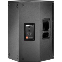 15-Inch Two-Way Passive Pa Speaker