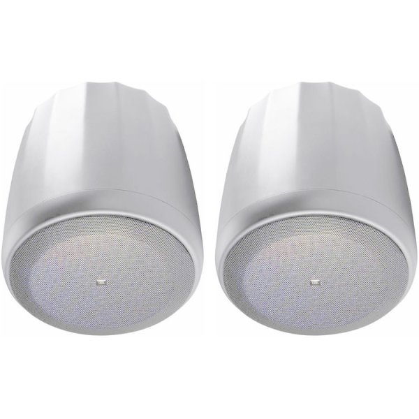 Control 60Ps/T Pendant Subwoofer With Crossover (White, Priced Each, Sold In Pairs)