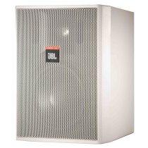 Indoor Outdoor Background Loudspeaker
