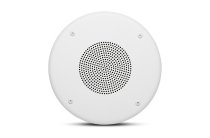 100 Mm (4 In) Commercial Series Ceiling Speaker